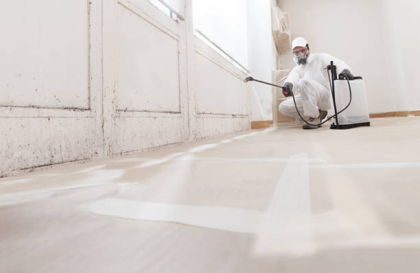 24/7 Emergency Mold Remediation experts in Delaplane, VA