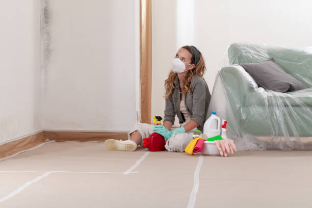 Reliable Mold Remediation contractor in Delaplane, VA by 24 Hour Mold Removal